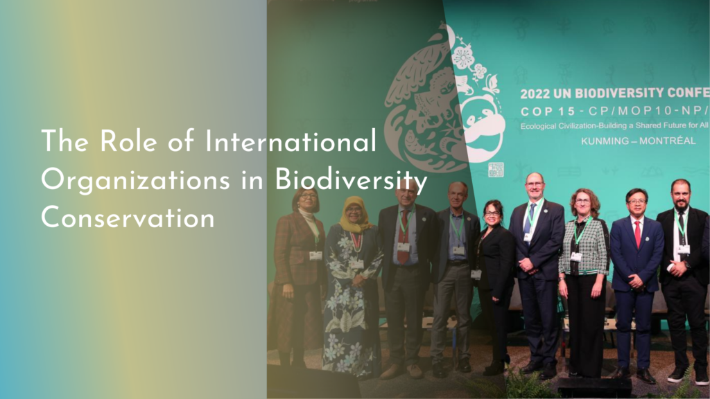 The Role of International Organizations in Biodiversity Conservation