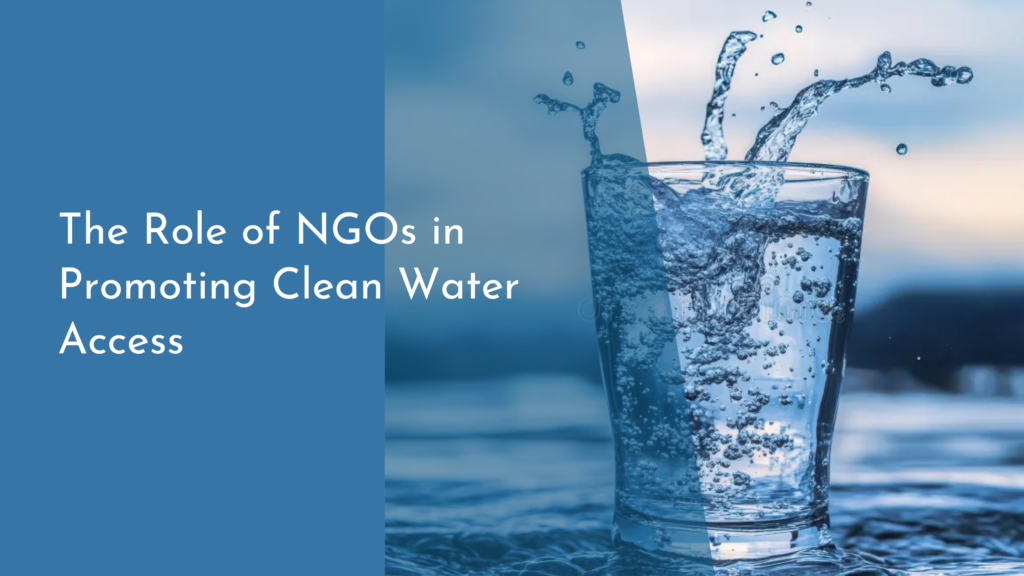 The Role of NGOs in Promoting Clean Water Access