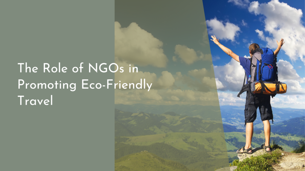 The Role of NGOs in Promoting Eco-Friendly Travel