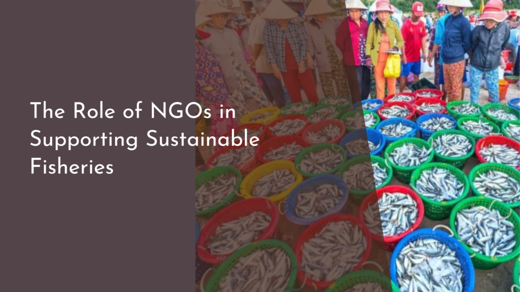 The Role of NGOs in Supporting Sustainable Fisheries