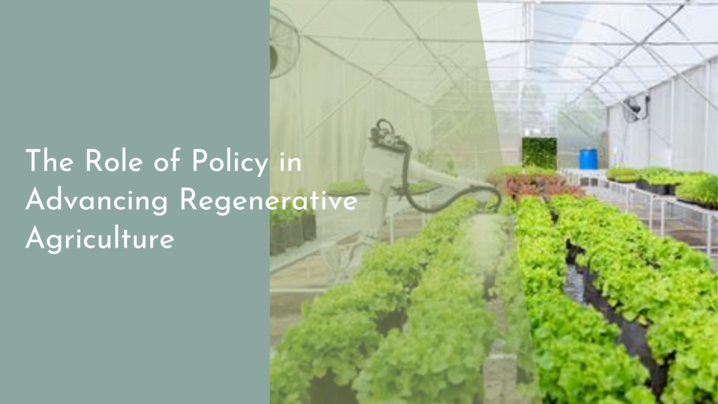 The Role of Policy in Advancing Regenerative Agriculture