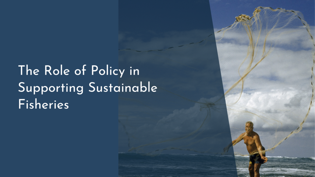 The Role of Policy in Supporting Sustainable Fisheries