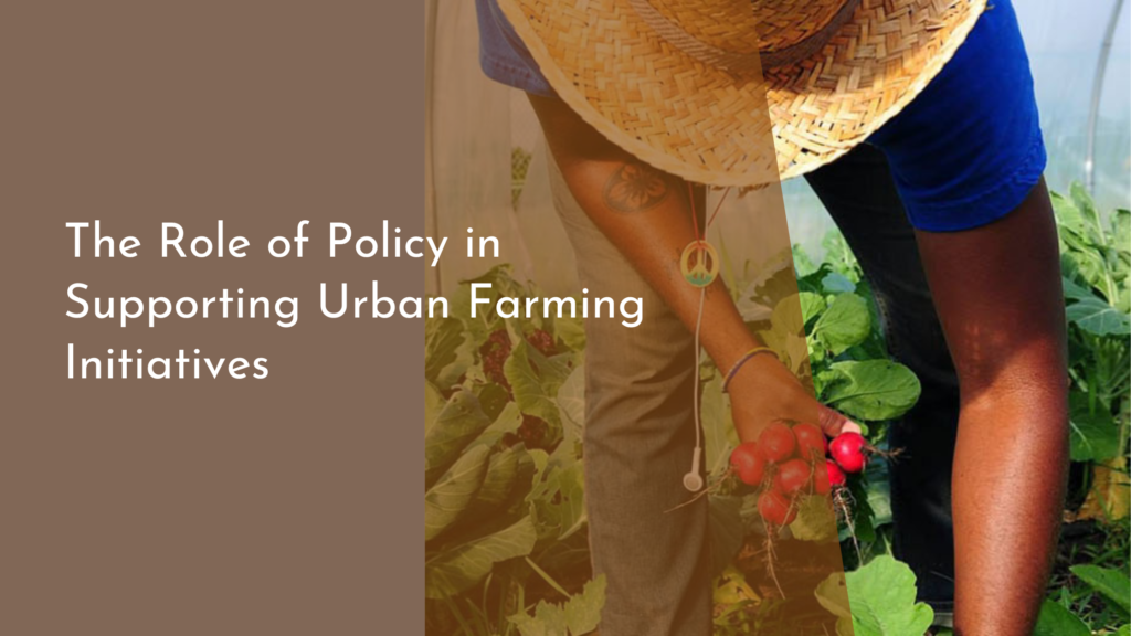 The Role of Policy in Supporting Urban Farming Initiatives