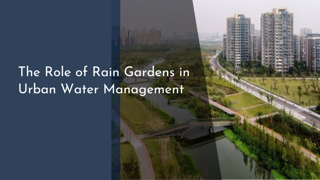 The Role of Rain Gardens in Urban Water Management