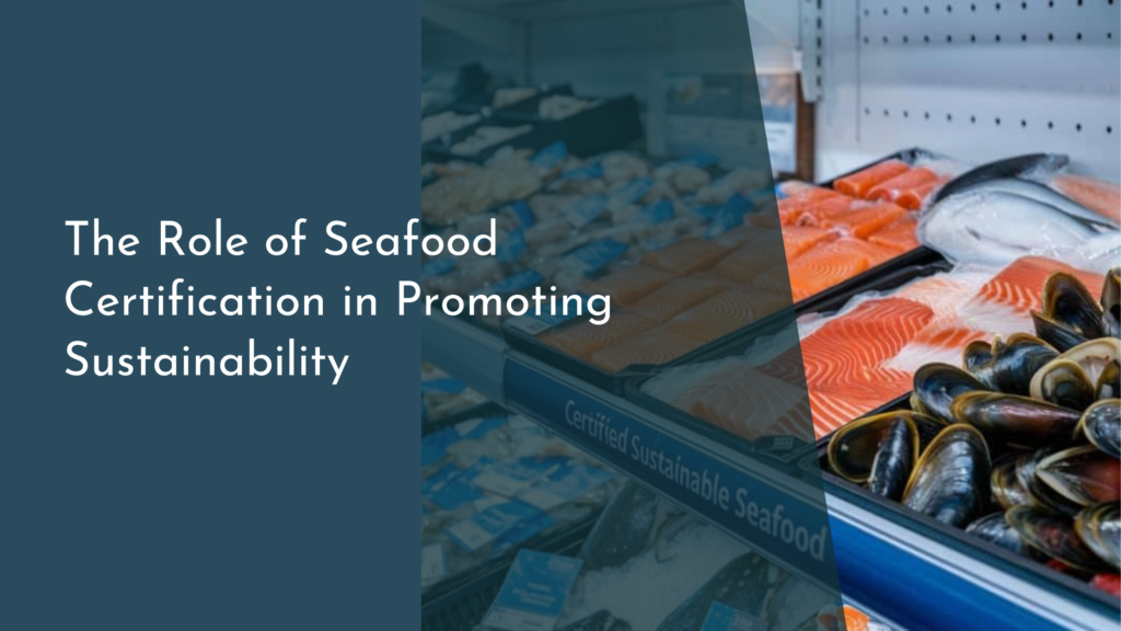 The Role of Seafood Certification in Promoting Sustainability