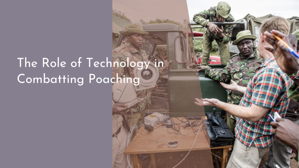 The Role of Technology in Combatting Poaching