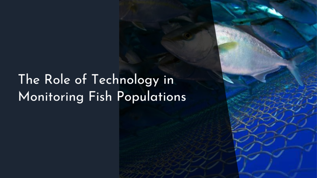 The Role of Technology in Monitoring Fish Populations