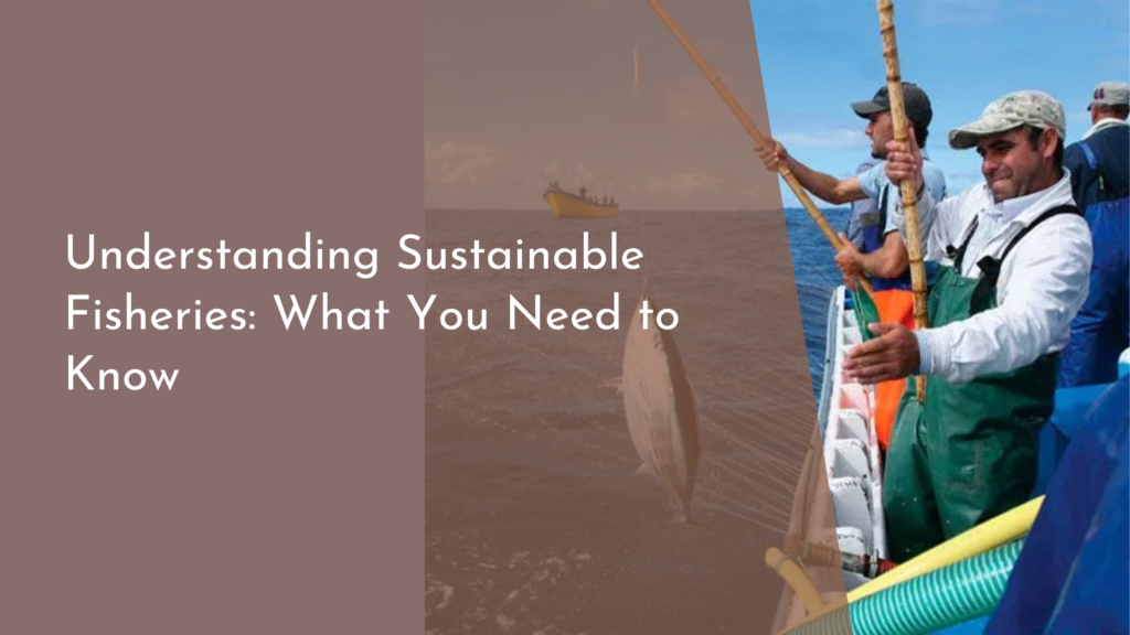 Understanding Sustainable Fisheries: What You Need to Know