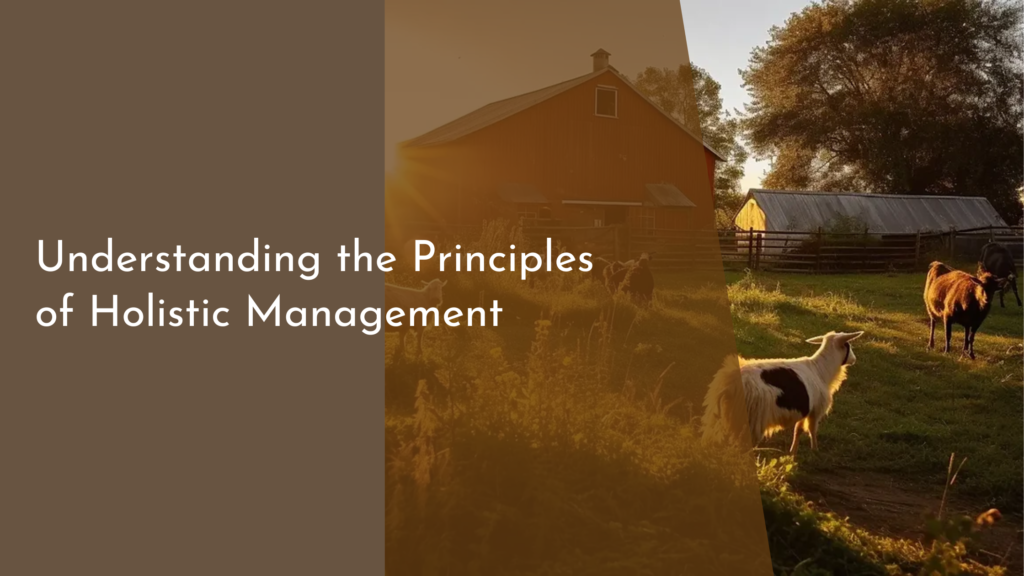 Understanding the Principles of Holistic Management