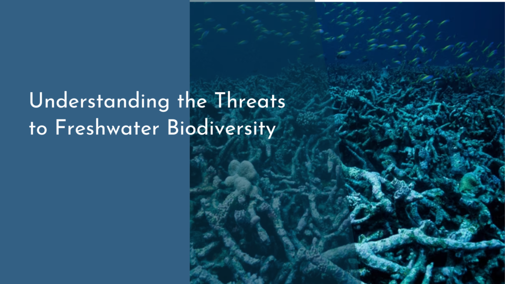 Understanding the Threats to Freshwater Biodiversity