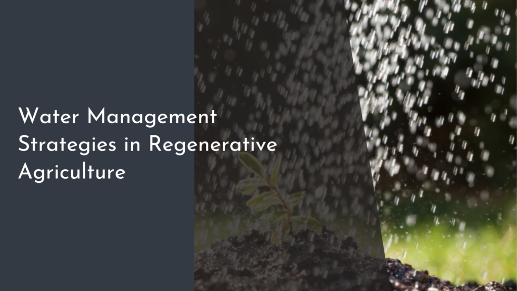 Water Management Strategies in Regenerative Agriculture